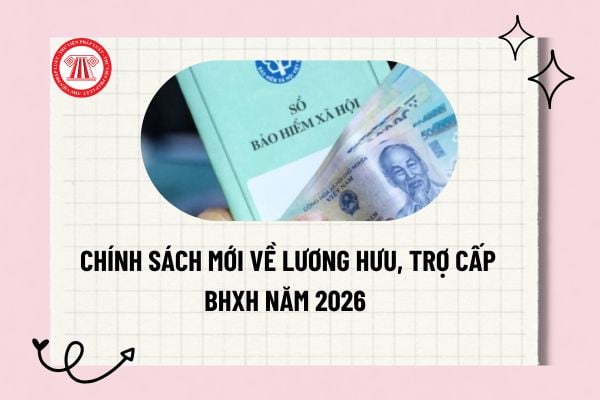 Pháp luật