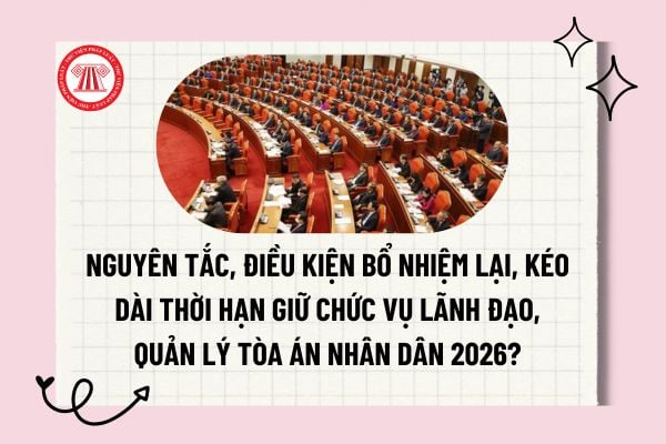 Pháp luật