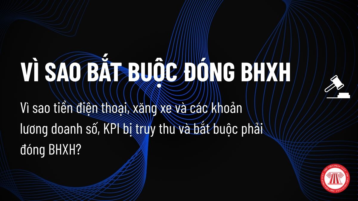Pháp luật