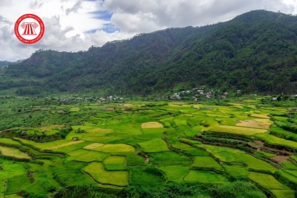 Chỉ đạo, tổ chức thực hiện thanh tra, kiểm tra chuyên ngành đất đai thuộc thẩm quyền của cơ quan nào? 