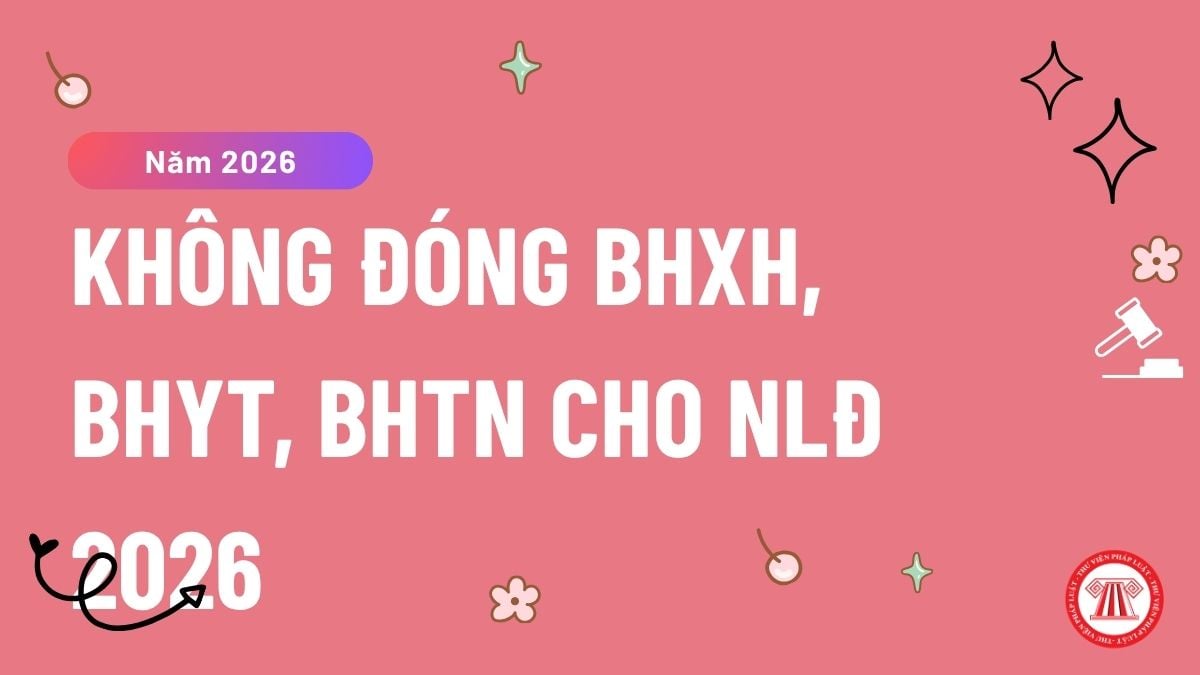 Pháp luật