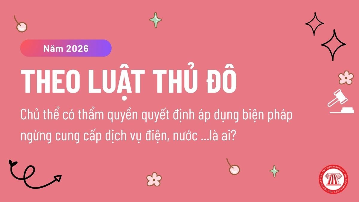 Pháp luật