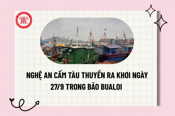 Pháp luật