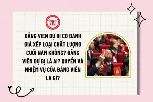 Đảng viên dự bị có đánh giá xếp loại chất lượng cuối năm không? Đảng viên dự bị là ai? Quyền và nhiệm vụ của đảng viên là gì?