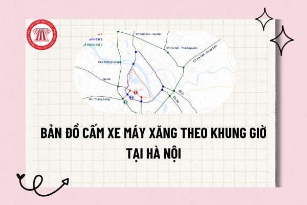 Pháp luật