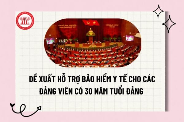 Pháp luật