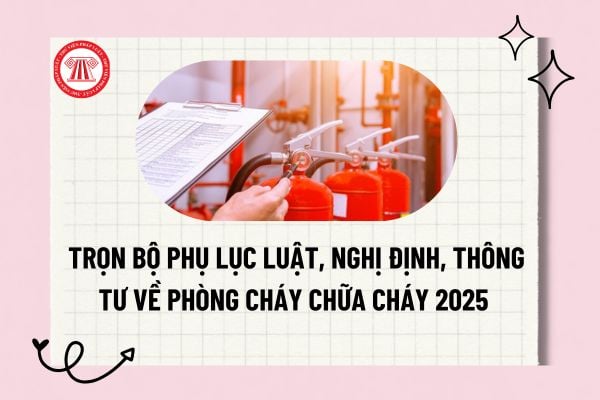 Pháp luật