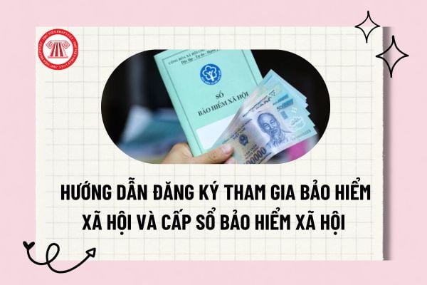 Pháp luật
