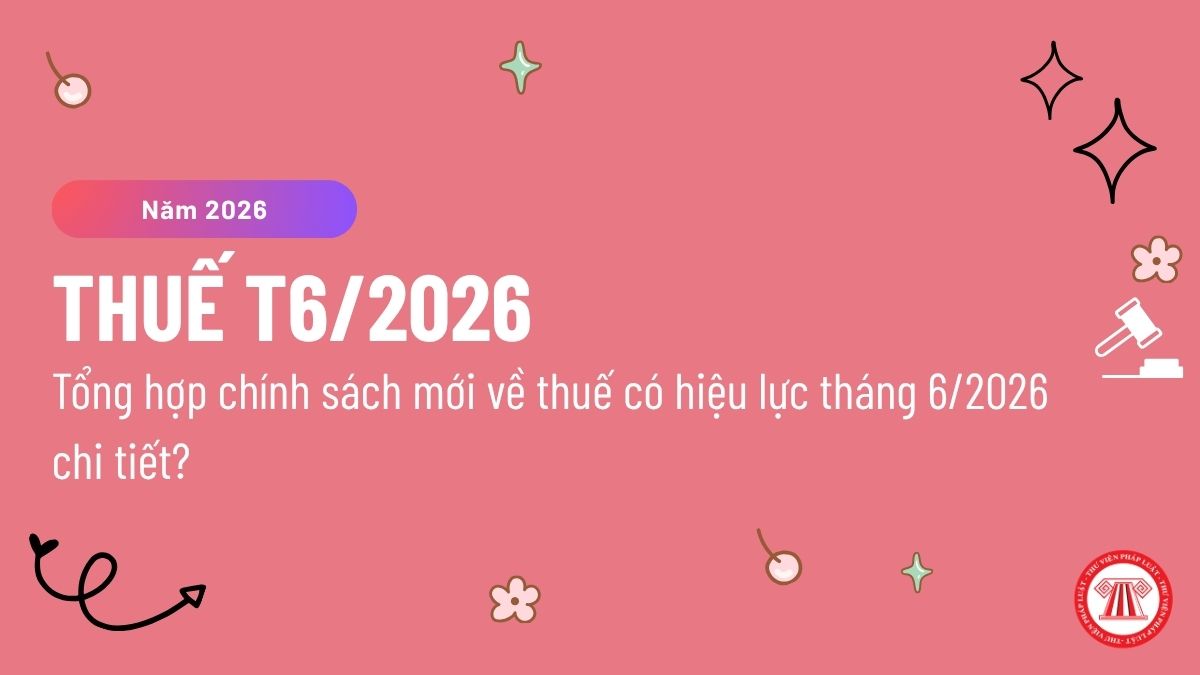 Pháp luật