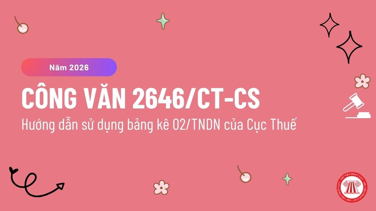 Công văn 2646/CT-CS năm 2026 hướng dẫn sử dụng bảng kê 02/TNDN của Cục Thuế ra sao? Tải về Công văn 2646?