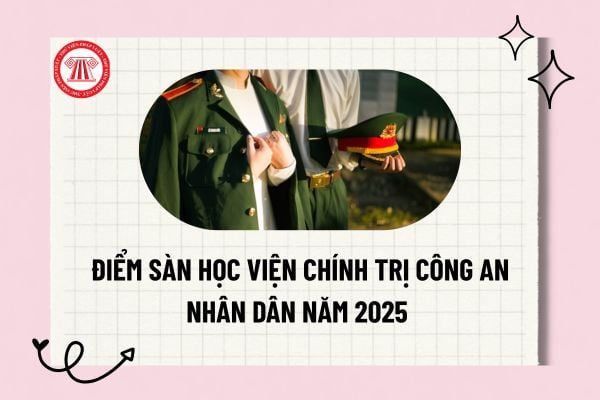 Pháp luật