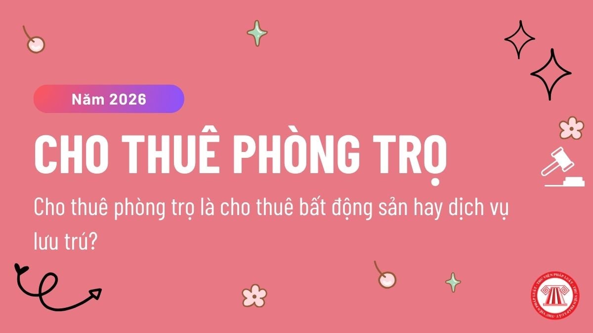 Pháp luật