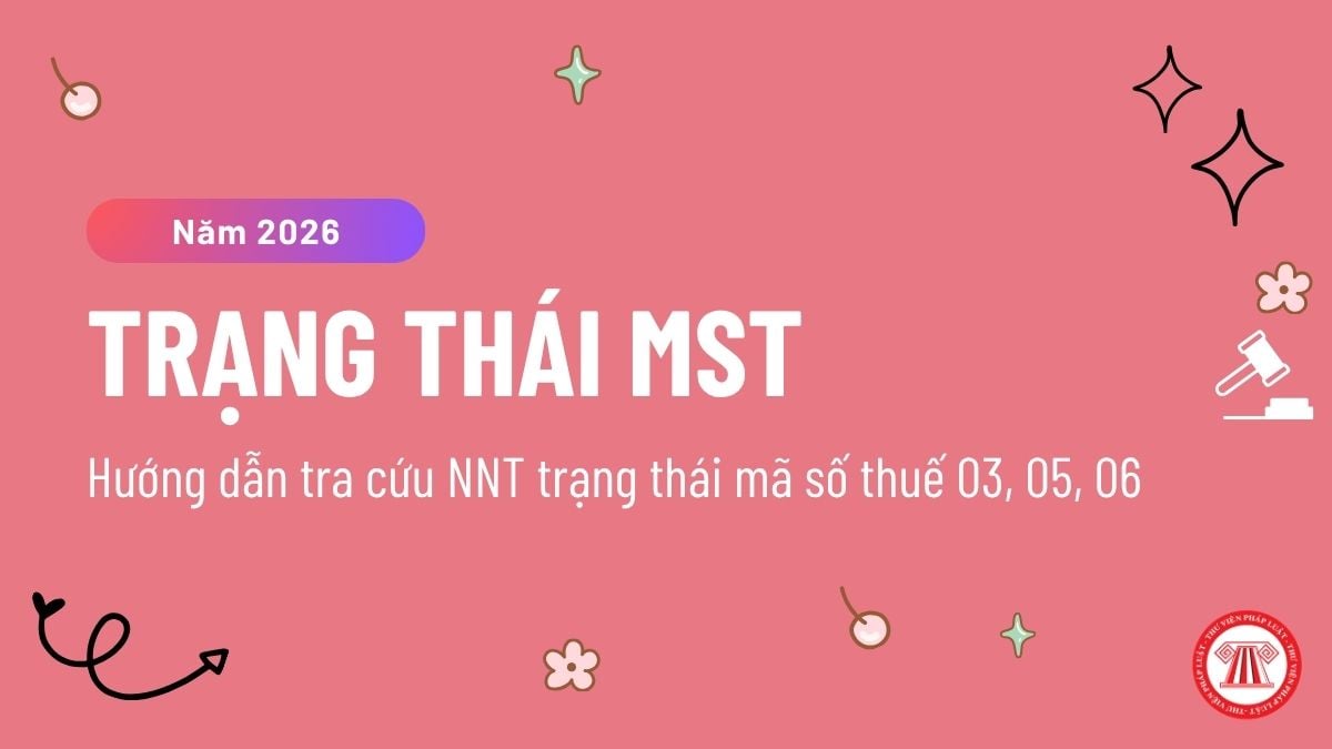 Pháp luật