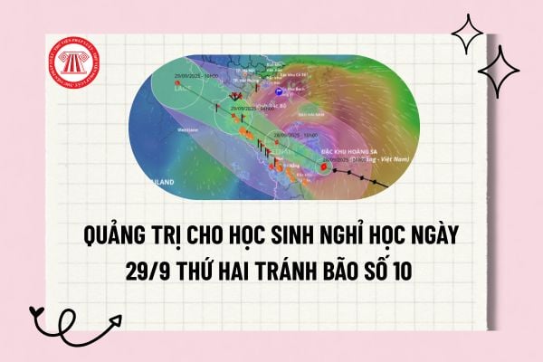 Pháp luật