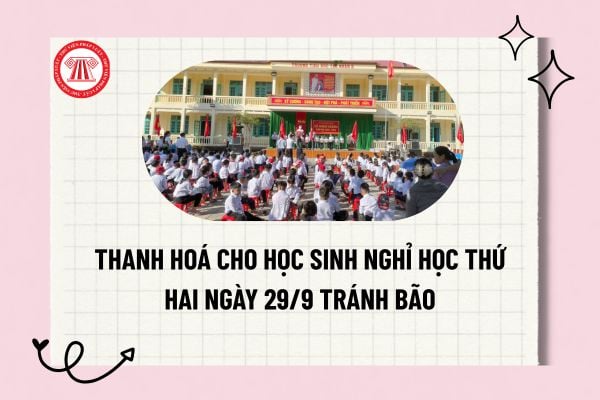 Pháp luật