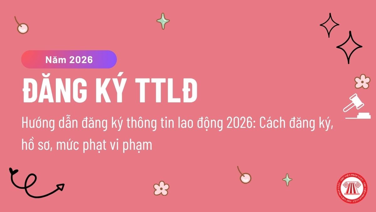 Pháp luật