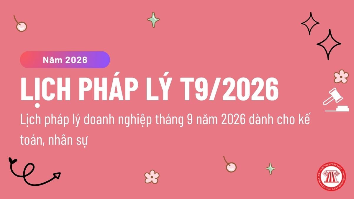 Pháp luật
