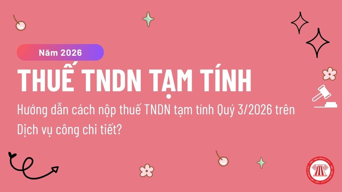 Pháp luật