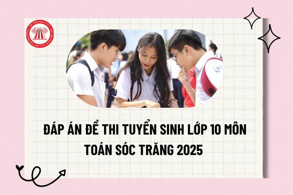 Pháp luật