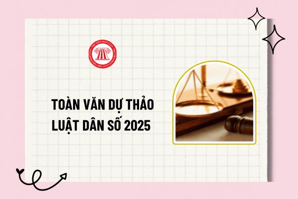 Pháp luật