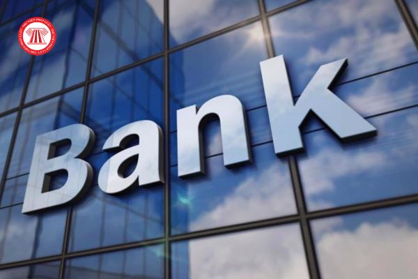 Mẫu kê khai lịch sử quan hệ tín dụng khi nhận chuyển nhượng ngân hàng dành cho thành viên góp vốn mới là mẫu nào?