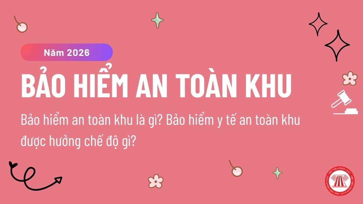 Pháp luật