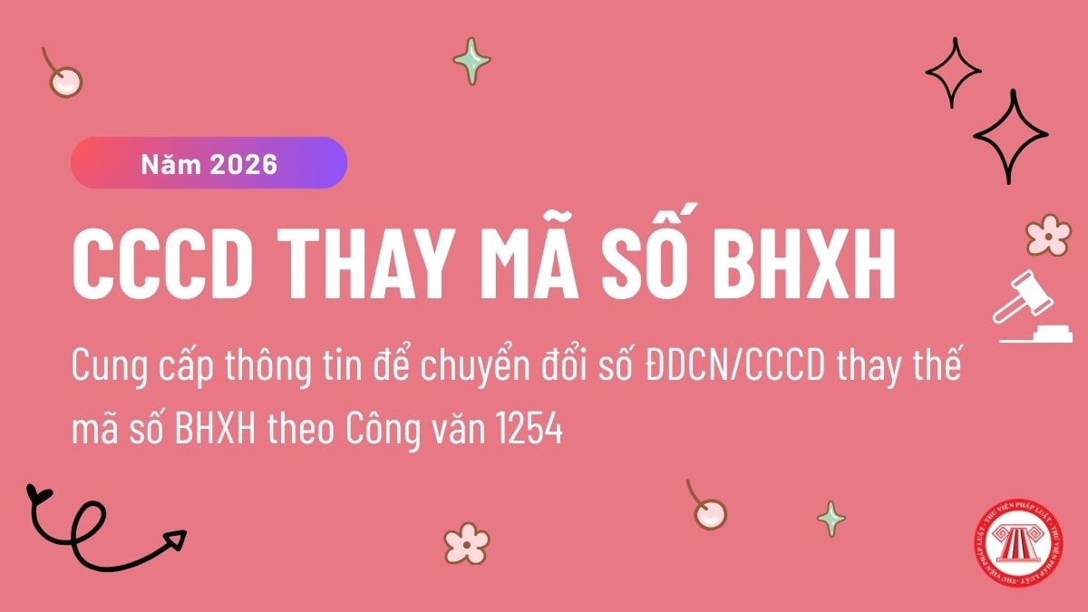 Pháp luật