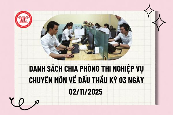 Pháp luật