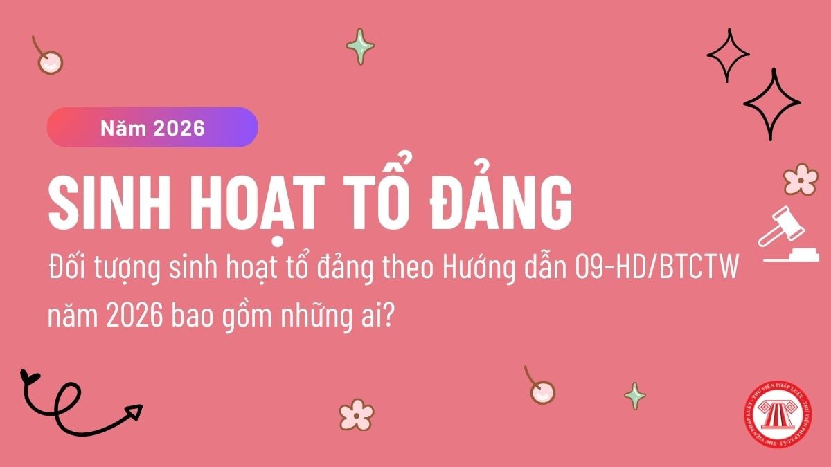 Pháp luật
