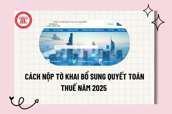 Pháp luật