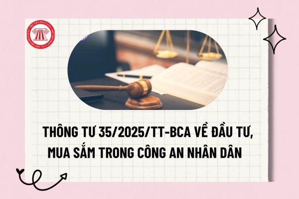 Pháp luật