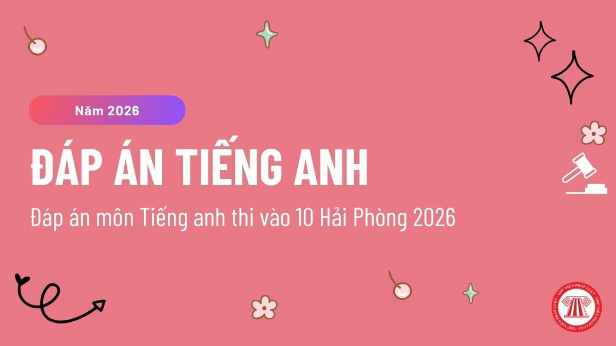 Pháp luật