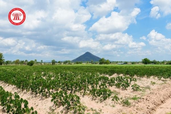 Hộ gia đình bị thu hồi đất phi nông nghiệp không phải đất ở có thể được bồi thường bằng đất ở hoặc nhà ở không?