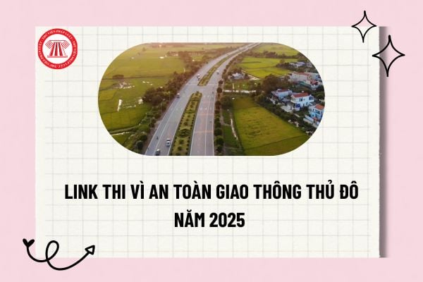 Pháp luật