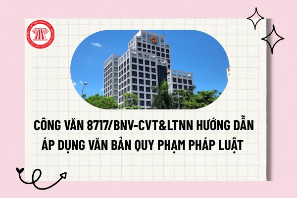 Pháp luật