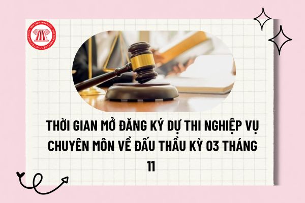 Pháp luật