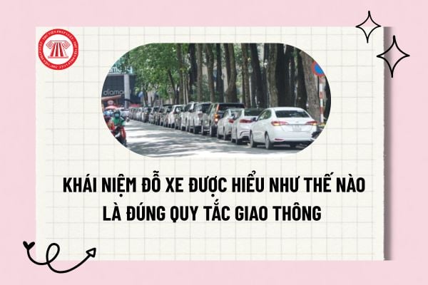 Pháp luật