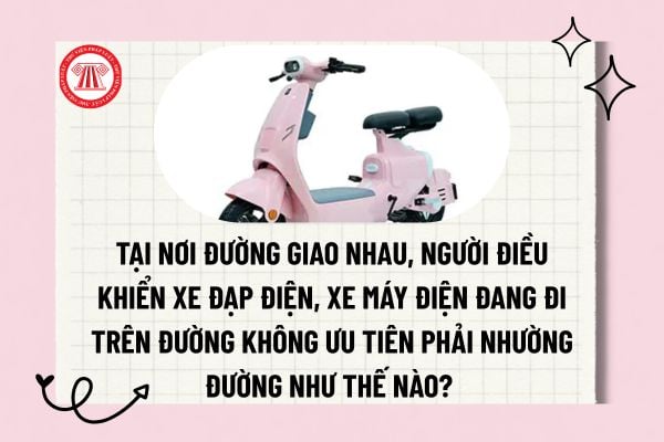 Pháp luật