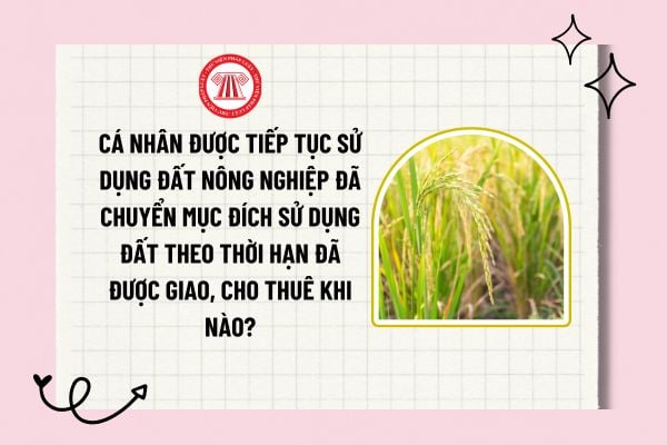 Cá nhân được tiếp tục sử dụng đất nông nghiệp đã chuyển mục đích sử dụng đất theo thời hạn đã được giao, cho thuê khi nào?