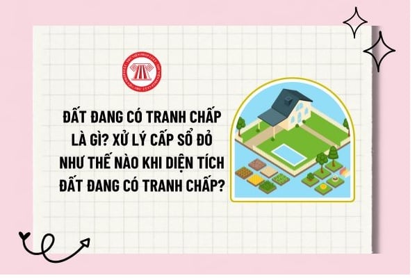 Đất đang có tranh chấp là gì? Xử lý cấp sổ đỏ như thế nào khi diện tích đất đang có tranh chấp?