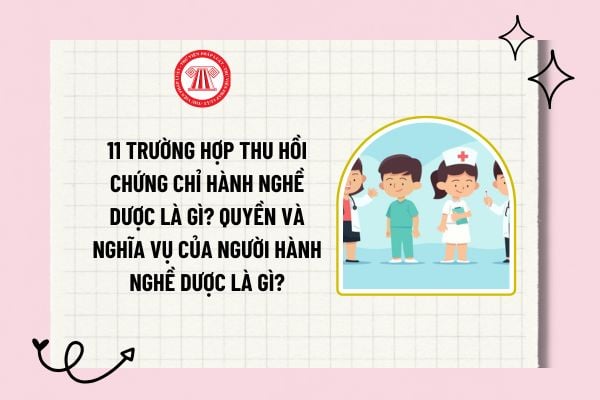 11 trường hợp thu hồi Chứng chỉ hành nghề dược là gì? Quyền và nghĩa vụ của người hành nghề dược là gì?