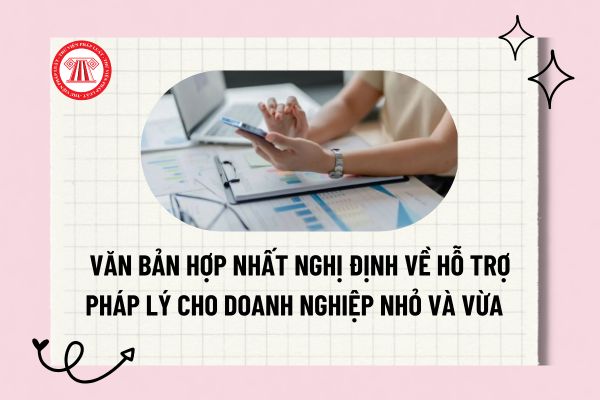 Pháp luật