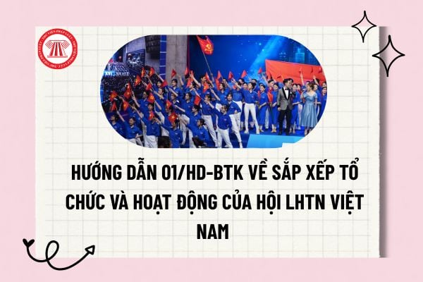 Pháp luật