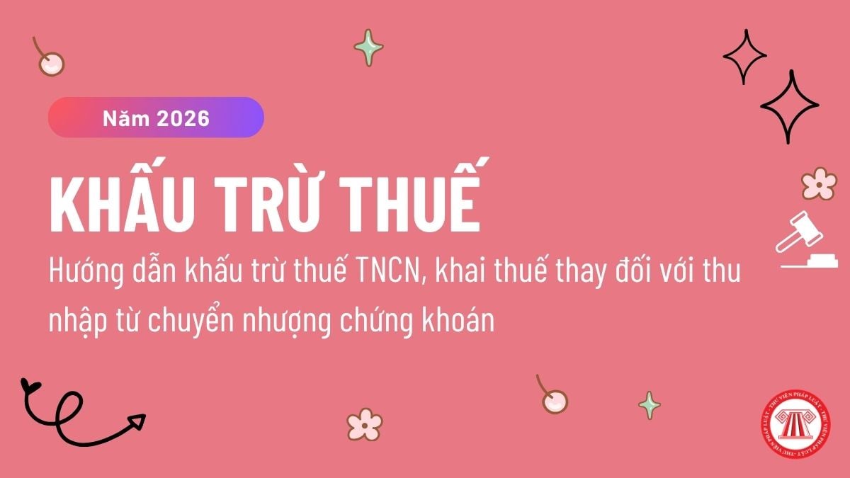 Pháp luật
