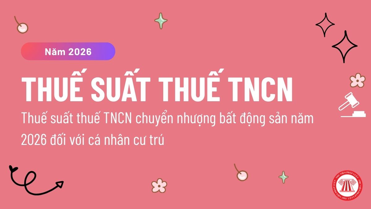 Pháp luật