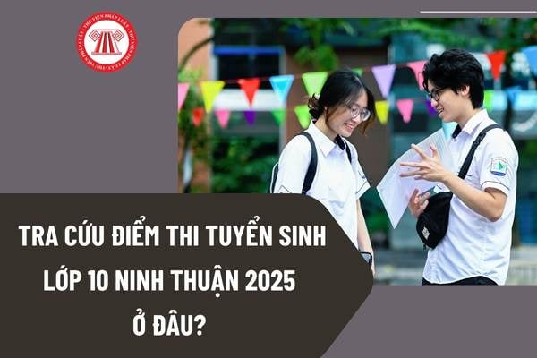 Pháp luật