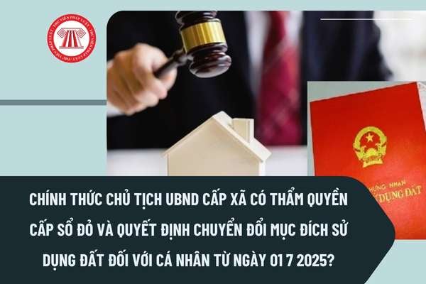 Pháp luật