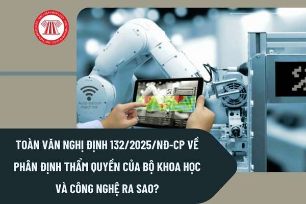 Pháp luật