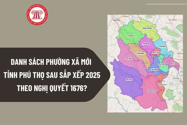 Pháp luật