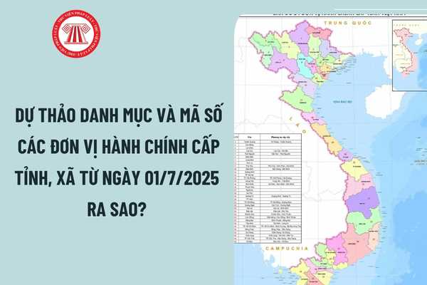Pháp luật